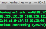 Зарегистрироваться на SSH-только веб-хостинг? Не беспокойтесь — легко установить любое веб-программное обеспечение