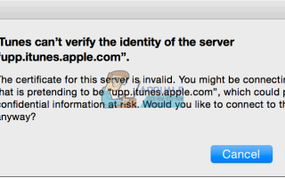 Исправлено: iTunes не может проверить личность сервера —