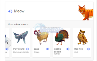 Как научить детей звуки животных с помощью Google —