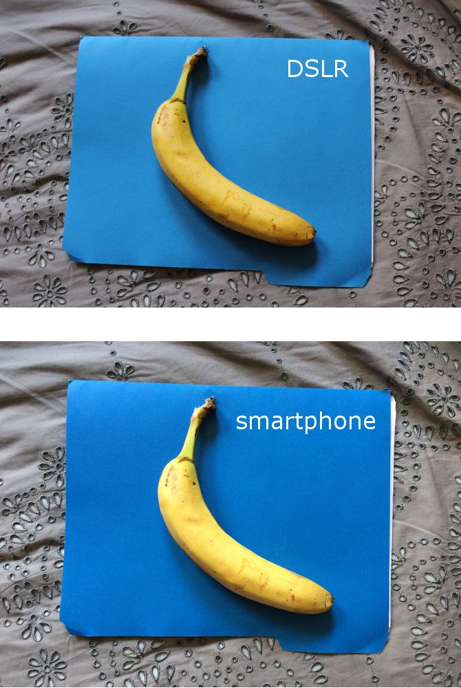 Сравнительный снимок iphone 5 против Canon EOS Rebel T3