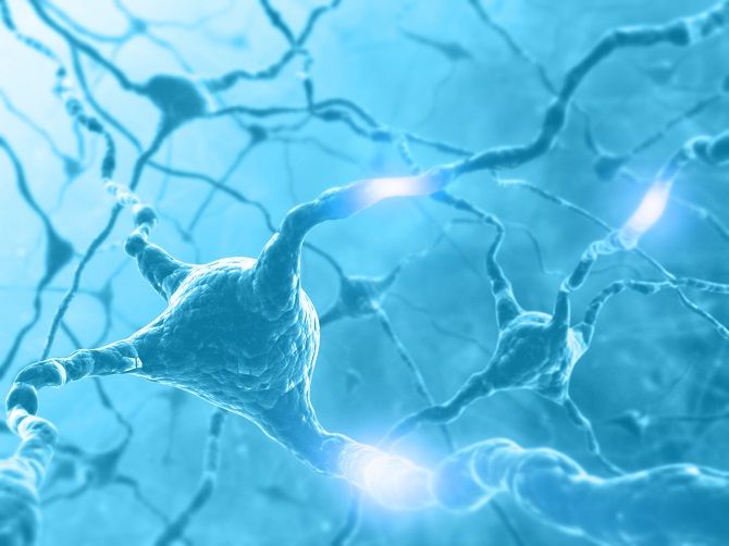 Компьютерное изображение нейронов и нервных путей