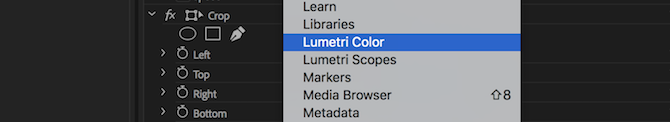 Пункт меню Lumetri Color