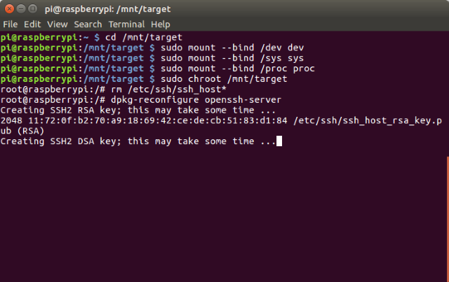 Загрузочный терминал Linux Raspberry Pi 3 с USB SSH