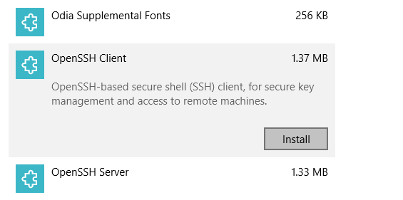 Установите SSH на Windows 10