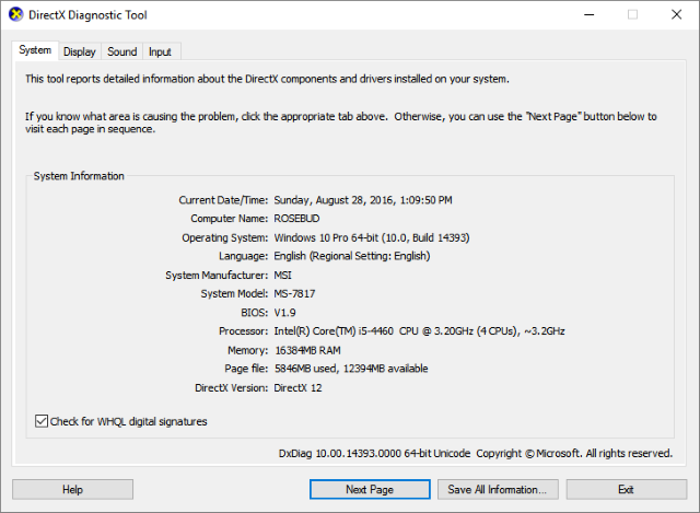 Диагностический инструмент DirectX на скриншоте Windows 10