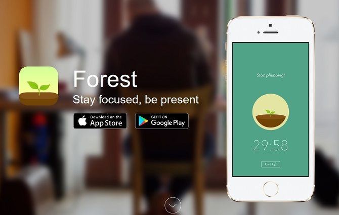 Скриншот сайта приложения Forest