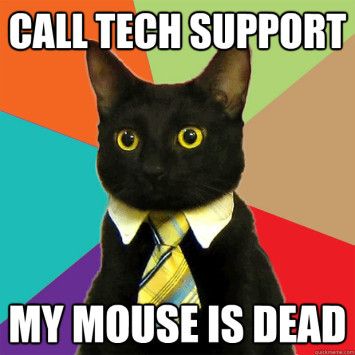 Техническая поддержка Business Cat Meme