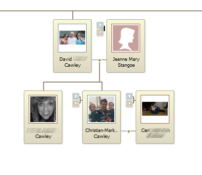 Исследуйте свое семейное древо онлайн Семейное древо image4 7 1