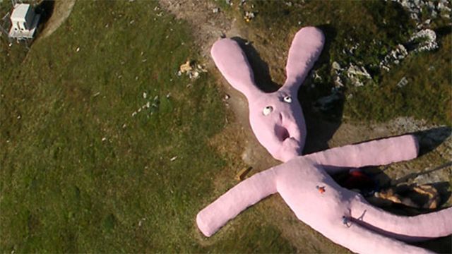 Гигантский Розовый Кролик Около 2005