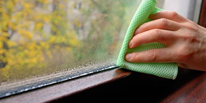 3 превосходных преимущества влагопоглотителя (и какой купить) влажность в домашних условиях