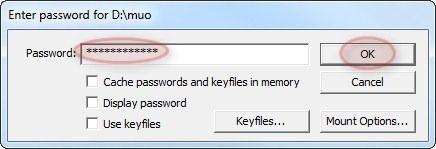 введите пароль