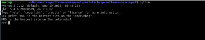 совместимость программного обеспечения Python интерпретатор