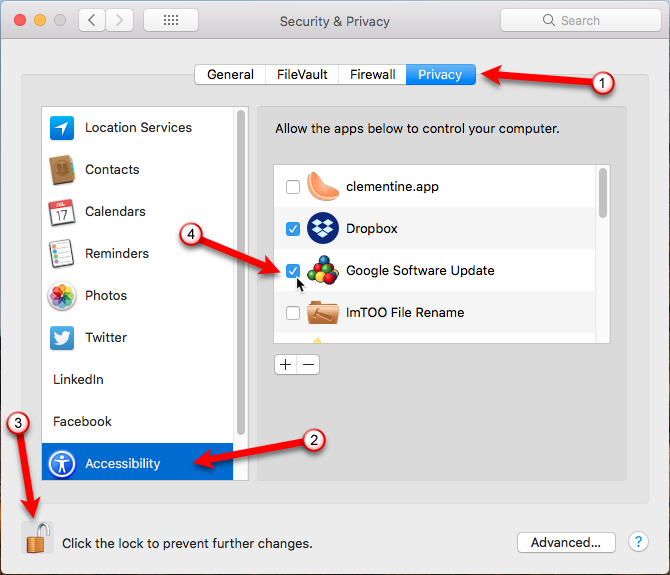 Руководство по безопасности Ultimate Mac: 20 способов защитить себя 13a Варианты доступности в разделе «Конфиденциальность»