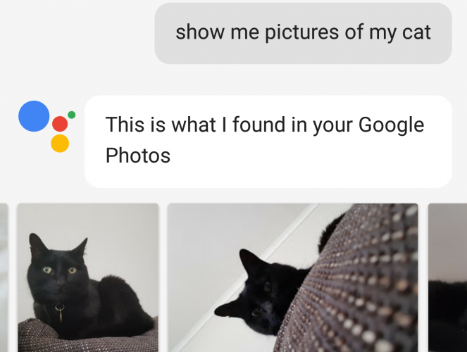 помощник кошки гугл