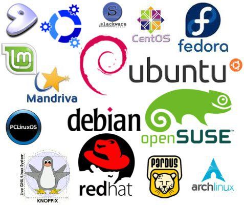 Обзор программного обеспечения Linux