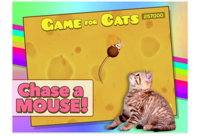 Игра для кошек