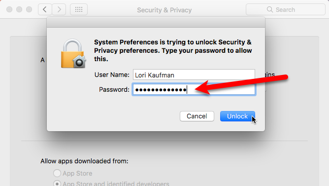 введите пароль mac