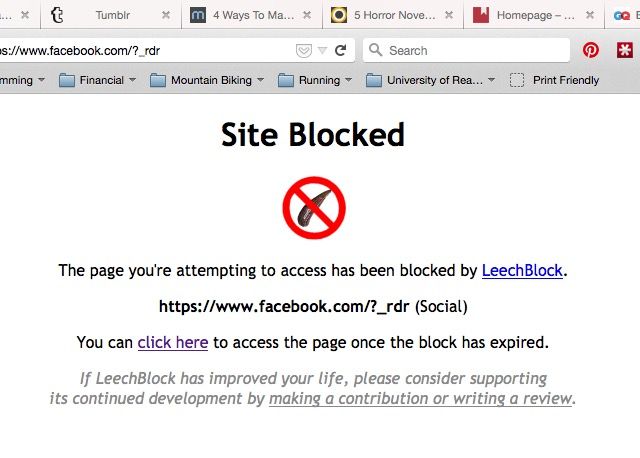 LeechBlock-facebook блокированными