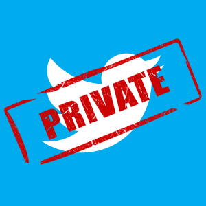 частное использование твиттера