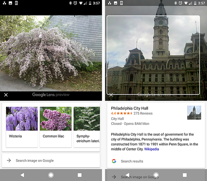 Google Lens Определить растения и здания