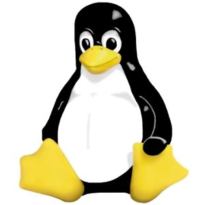 скомпилируйте собственное ядро ​​Linux