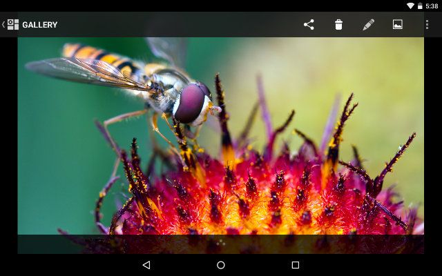 AndroidGalleryApps-Cyanongen-Галерея-View