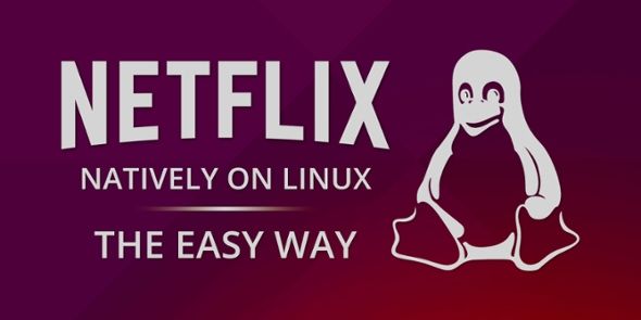 бюллетень-Netflix-на-Linux-простой способ-Ий