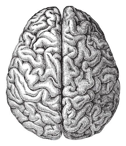 dementiapiece мозг