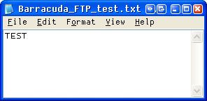 Подключите свой FTP-диск как локальный диск с помощью NetDrive (Windows) netdrive5