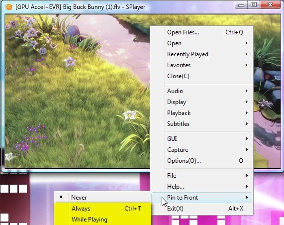 Splayer - портативный медиаплеер Play-All для Windows 8b
