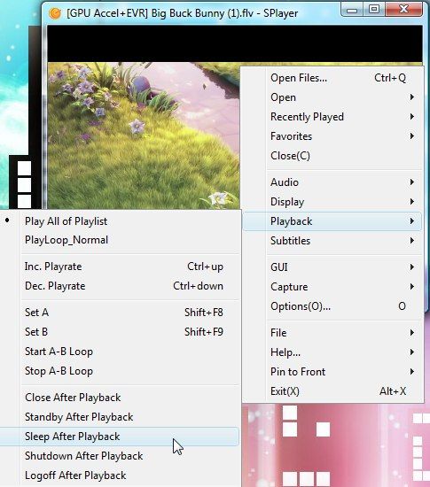 Splayer - портативный медиаплеер Play-All для Windows 4