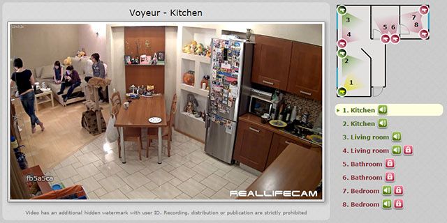 Webcam-факты-творческо-выставка