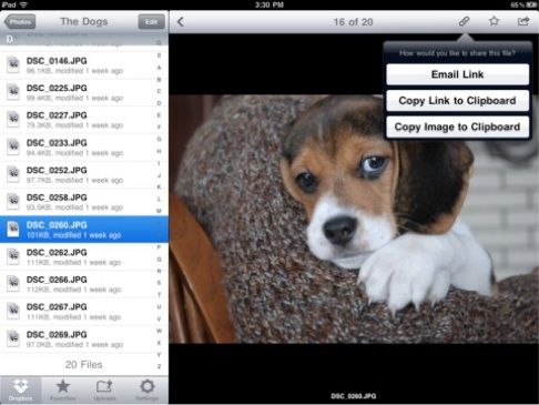 Бесплатное руководство для вашего iPad ipad 44