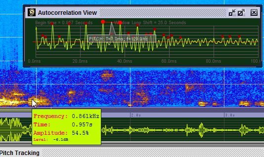 Sonogram Visible Voice - мощное голосовое программное обеспечение спектрограммы sono7