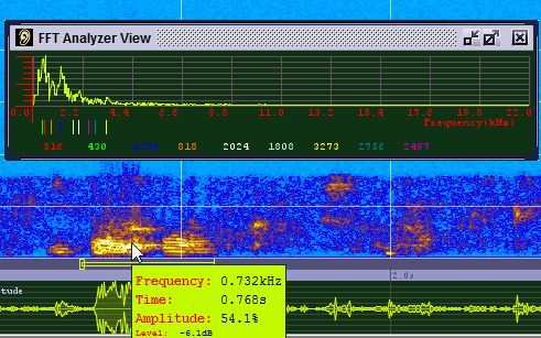 Sonogram Visible Voice - мощное программное обеспечение для голосовой спектрограммы sono9
