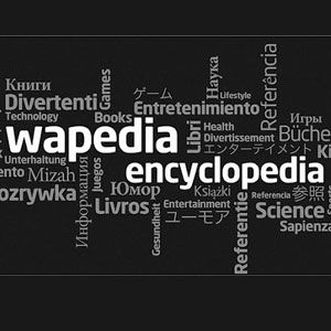 Какая разница между Вапедией и Википедией