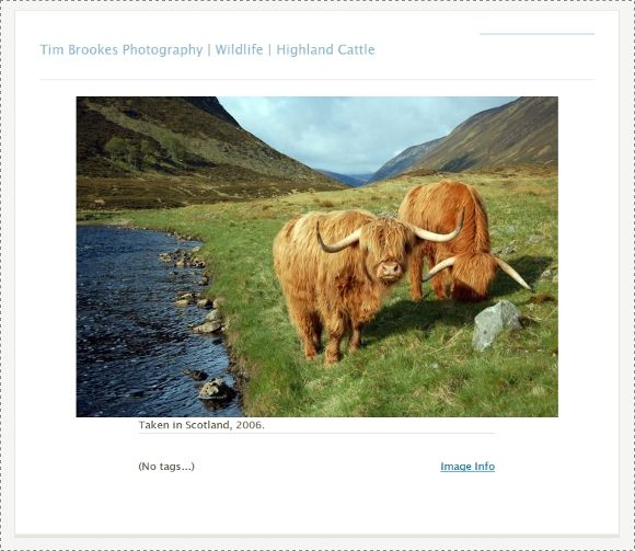 Zenphoto - мощный мощный движок фотоблогов для вашего сайта