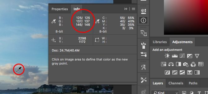 Изучите редактирование фотографий в Photoshop: ознакомьтесь с основами в 1 часе нейтрального цвета