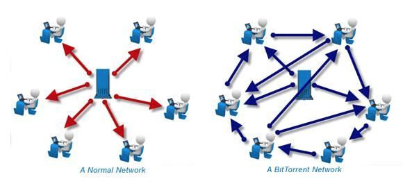 Torrent vs. Normal Network