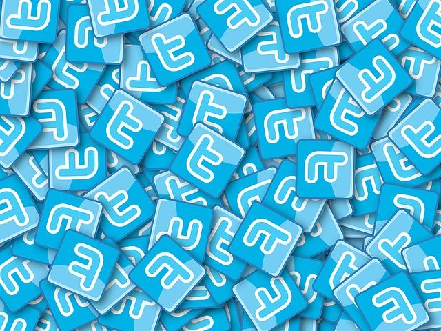 Twitter-Leak-логотипы