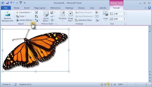 скриншот Microsoft Word