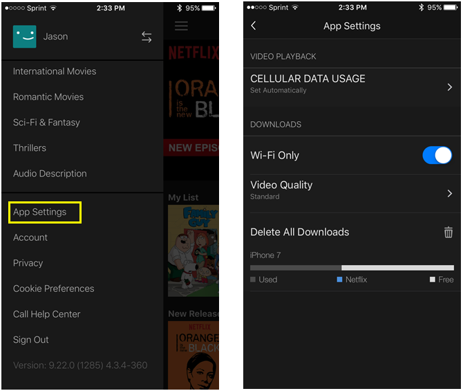 Настройки приложения Netflix IOS Iphone