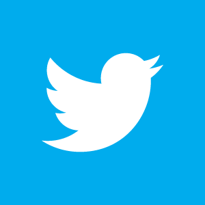 Как использовать Twitter, чтобы помочь вам найти работу twitter bird logo
