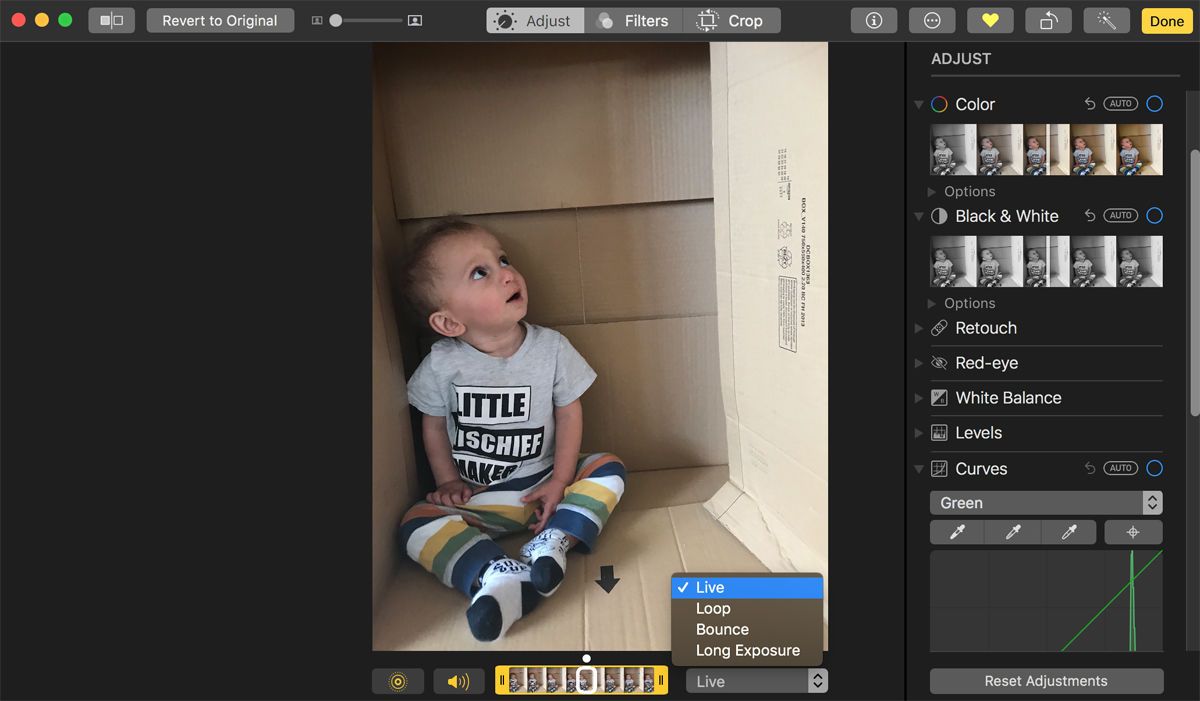 Как использовать приложение «Фото» для Mac: превратить живую фотографию в GIF