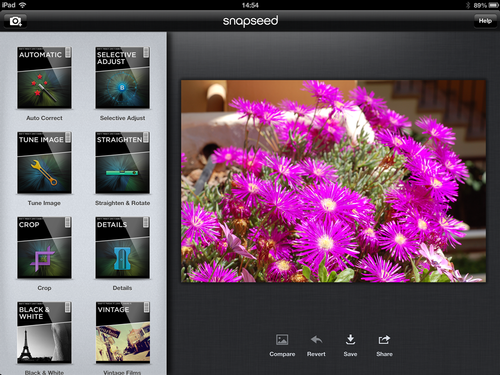 Инструменты Snapseed для iPad