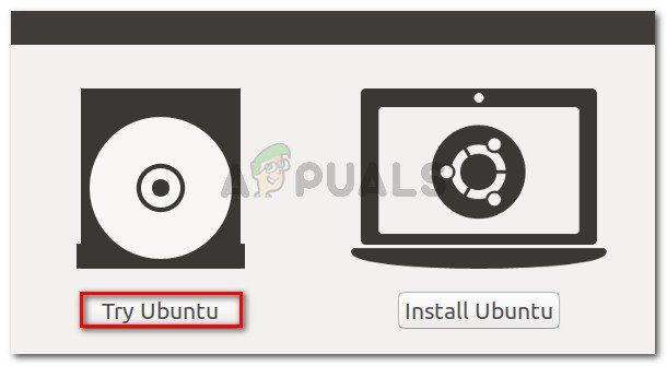 Нажмите на Try Ubuntu, чтобы запустить версию Live CD