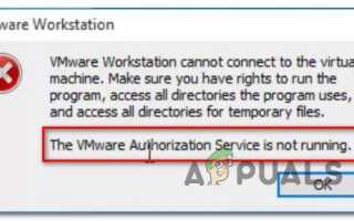 Исправлено: служба авторизации VMware не работает —