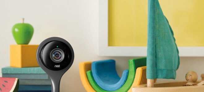 Почему Премиум-аккаунты с гнездом, канарейкой и многим другим стоят того