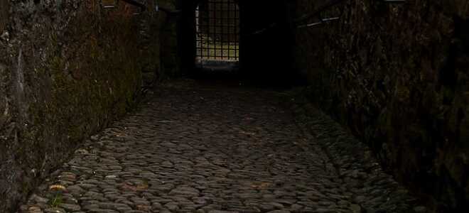 8 забавных игр Alexa, в которые вы можете играть на эхо Amazon