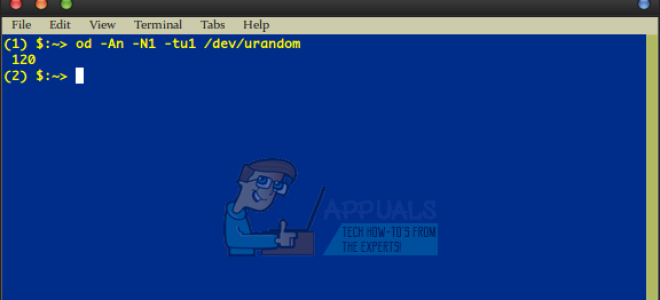 Как установить переменные bash в случайные числа —